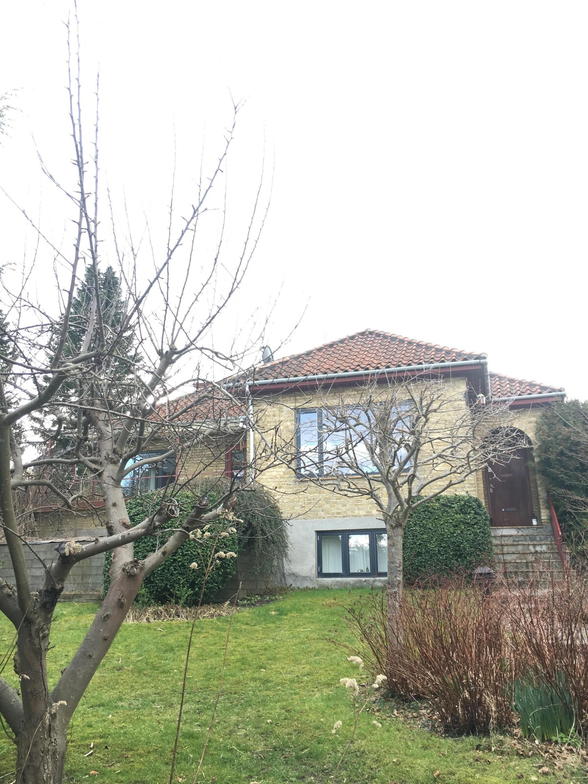 Image de profil de l’hôte