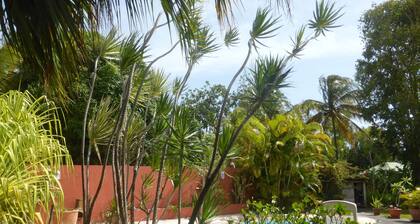 Caribbean Ashanti Lodge