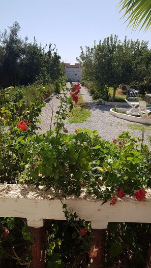 Property grounds - Country villa 10 minutes from downtown  (meknes)