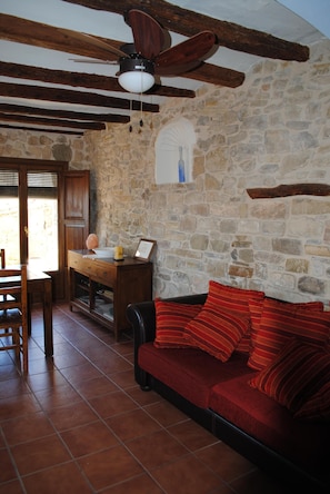 TV, fireplace, DVD player, books - Self catering Cal Sarri Vell for 4-8 people (Agramunt)