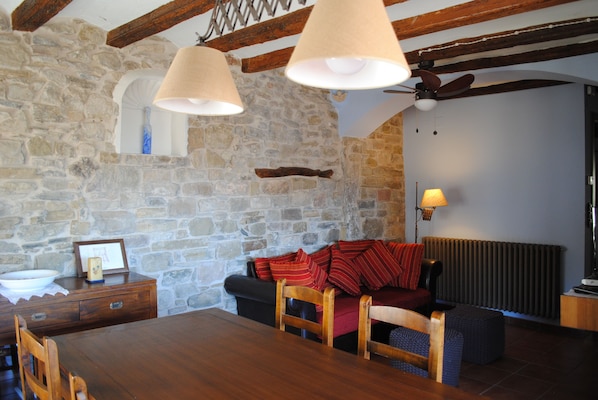 Télévision, cheminée, lecteur de DVD, livres