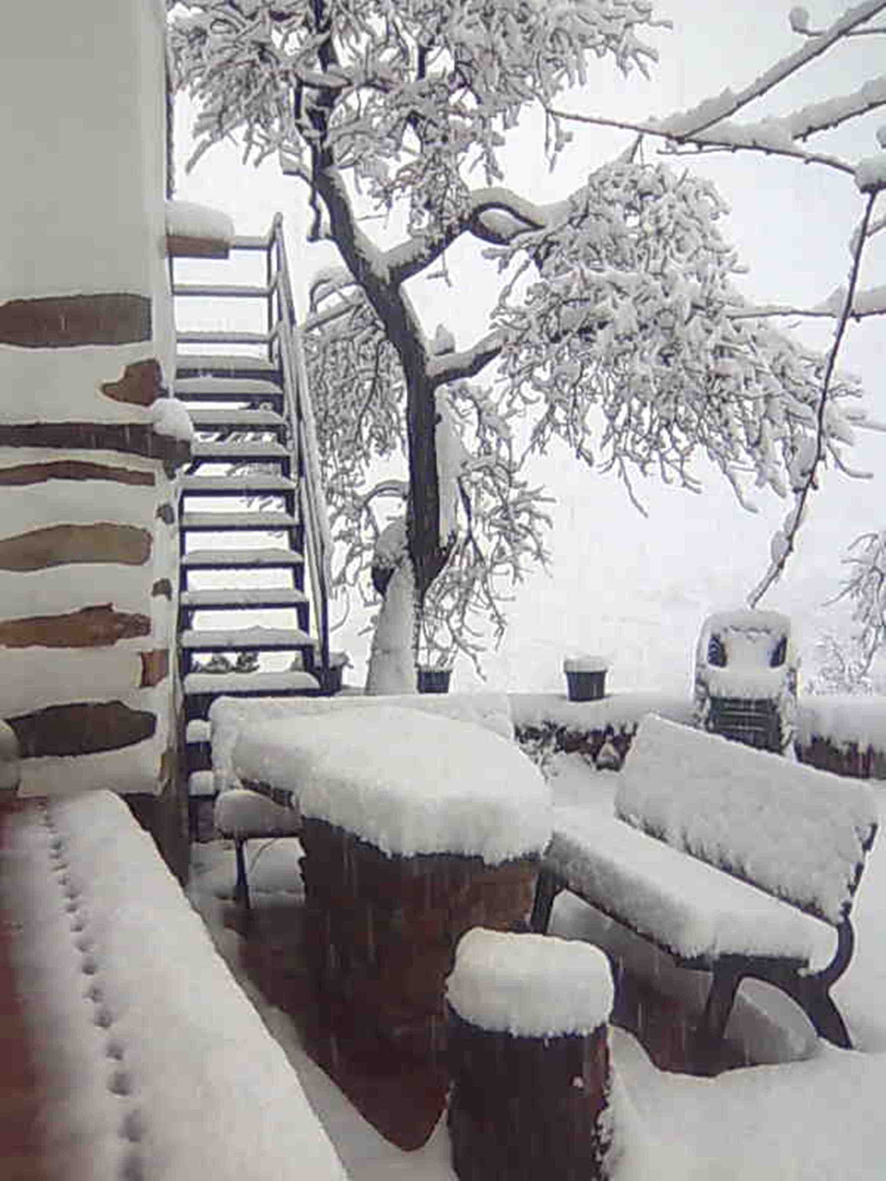 A snow-covered outdoor area with a wooden bench, a metal staircase, and a tree.