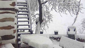 A snow-covered outdoor area with a wooden bench, a metal staircase, and a tree. - Rural house (rental entire) Reul Alto Cortijos Rurales for 6 people (Laroya)