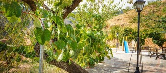 Rural house (rental entire) Reul Alto Cortijos Rurales for 6 people