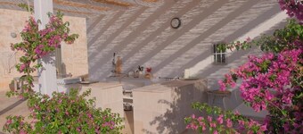 4 Bedroom 3 Shower room House in 2 acres with POOL- ideal 2 families