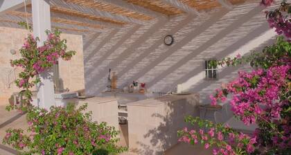 4 Bedroom 3 Shower room House in 2 acres with POOL- ideal 2 families