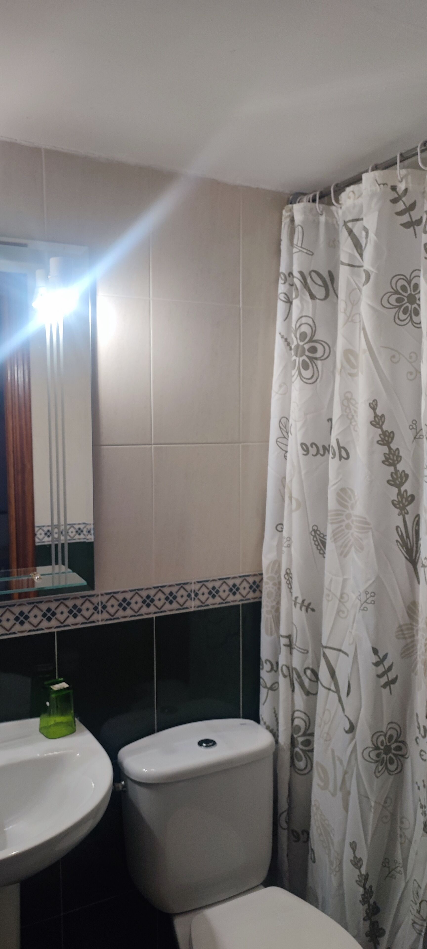 A bathroom with a toilet, sink, and shower curtain.