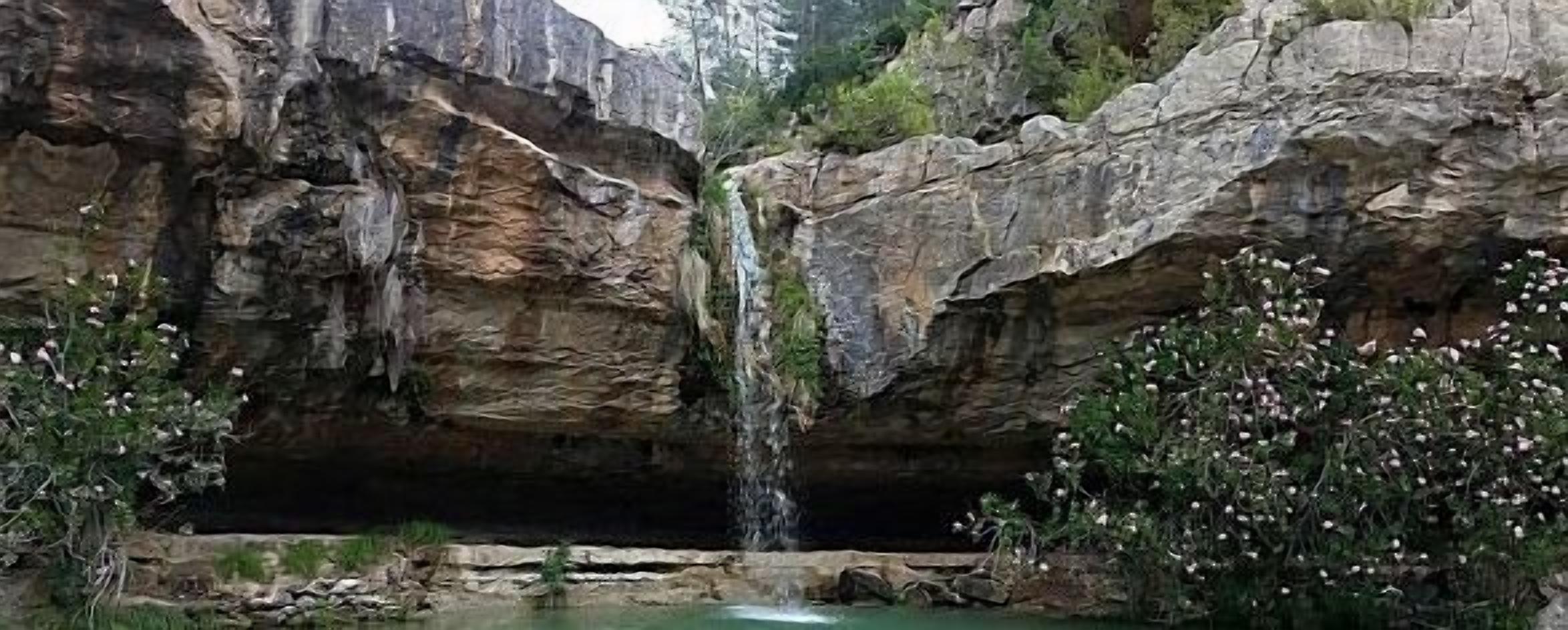 Shearer House for 8 people