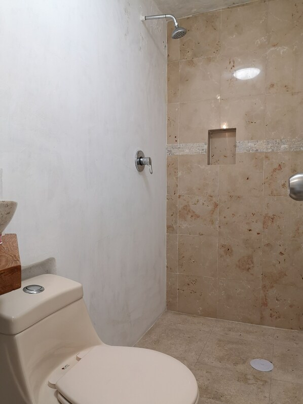 Shower, towels, soap, toilet paper