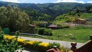 A rural landscape with houses, a road, and a forested hill. - Goikoetxe Baserria in Zeanuri (Zeanuri)