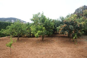 Property grounds -  6 Bed, air conditioned Villa w/ huge pool and private grounds (Jávea)