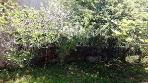 A garden area with various plants and a stone wall. - holiday home in galdames (galdames,vizcaya)