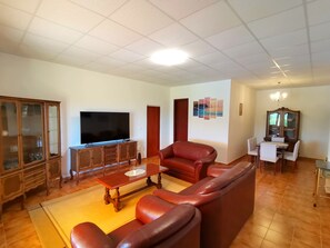 Smart TV, fireplace, DVD player, music library - Apartman Andy 4* noble family, luxurious style,the largest apartments in Croatia (Imotski)