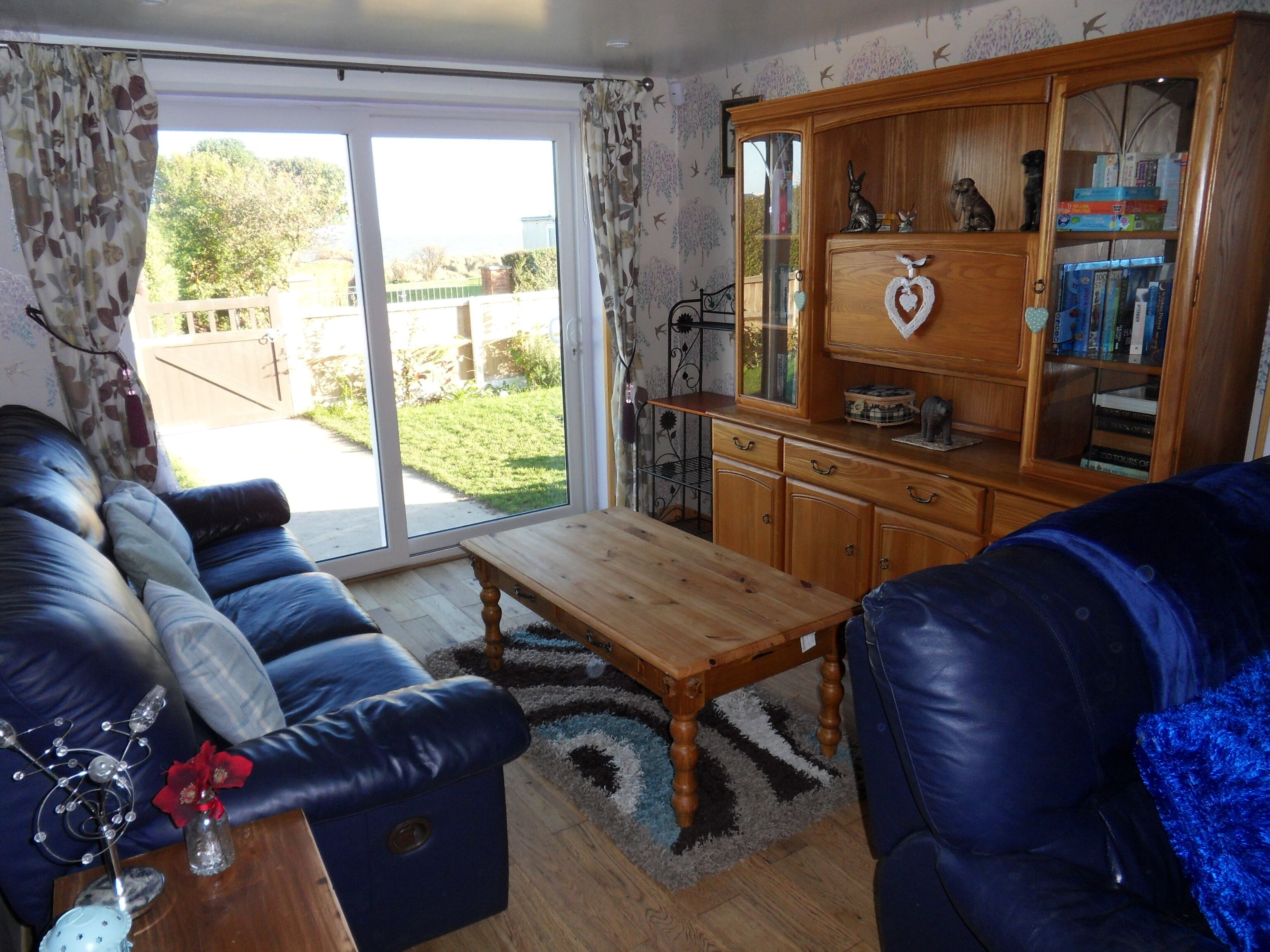 Télévision à écran plat, cheminée, lecteur de DVD, livres