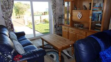 Télévision à écran plat, cheminée, lecteur de DVD, livres