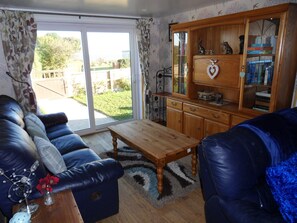 Flat-screen TV, fireplace, DVD player, books