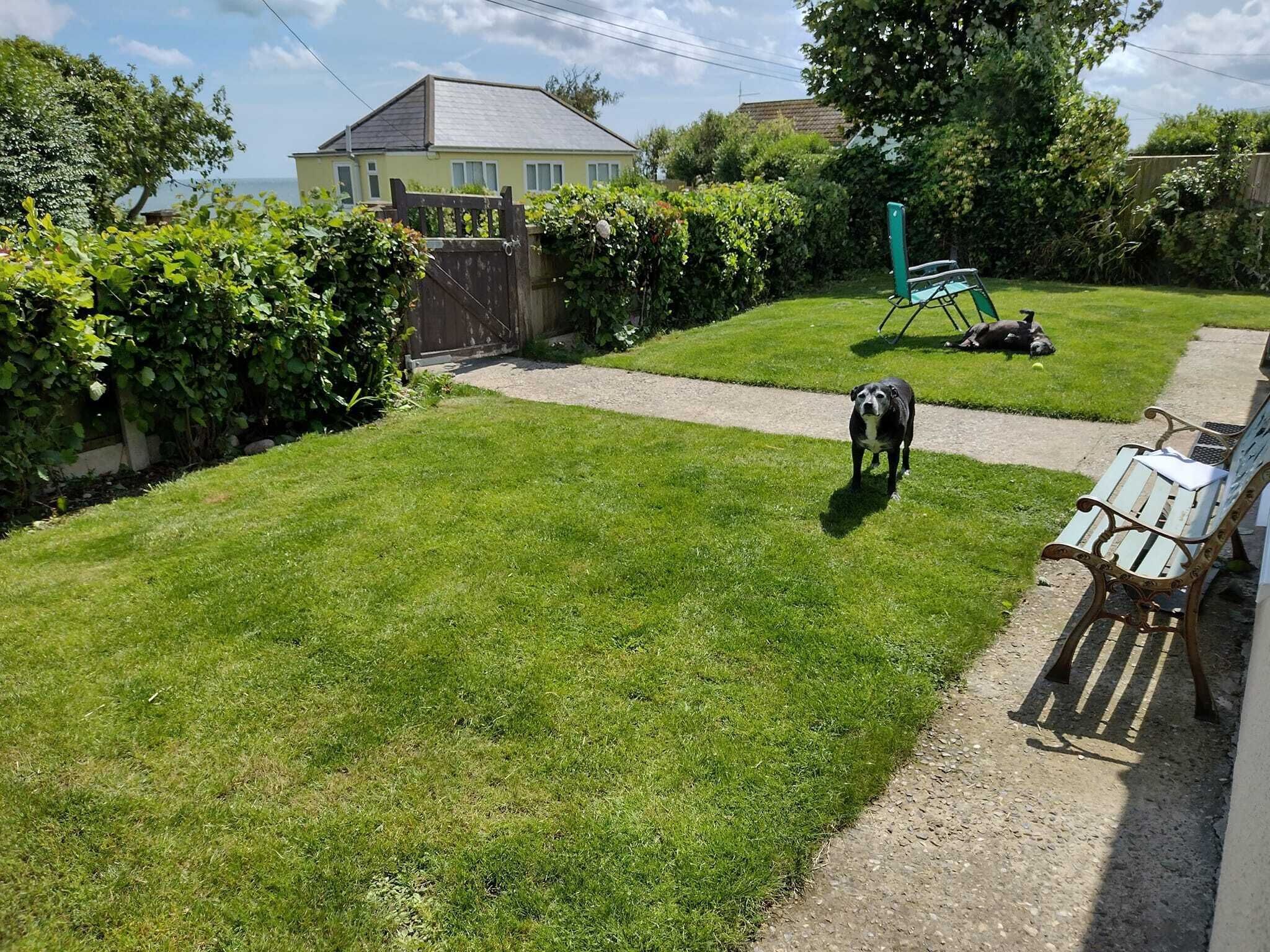 Ein gepflegter Garten mit Rasen, einer hölzernen Bank und einem Hund, der auf der Wiese liegt.