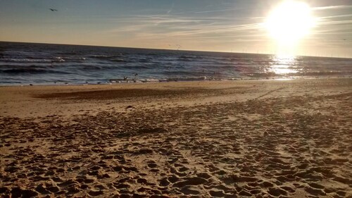 Sea view Beach Bungalow, super dog-friendly 