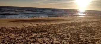 Sea view Beach Bungalow, super dog-friendly 