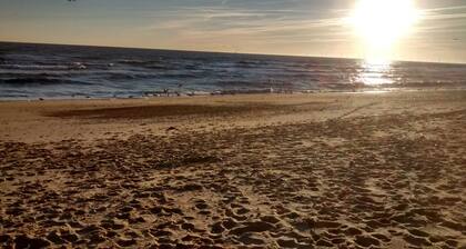 Sea view Beach Bungalow, super dog-friendly