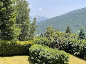 Un paysage montagneux avec une forêt dense et un ciel dégagé.