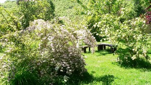 Un jardin luxuriant, parsemé de diverses plantes à fleurs, et agrémenté d’un banc en bois.