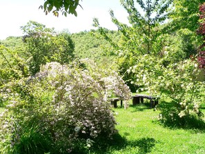 Outdoor dining - RURAL HOUSE 5 ***** THE SILK WORKSHOP (Avedillo de Sanabria)