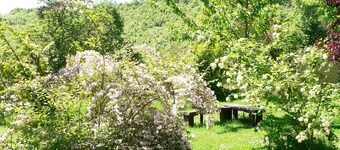 RURAL HOUSE 5 ***** THE SILK WORKSHOP