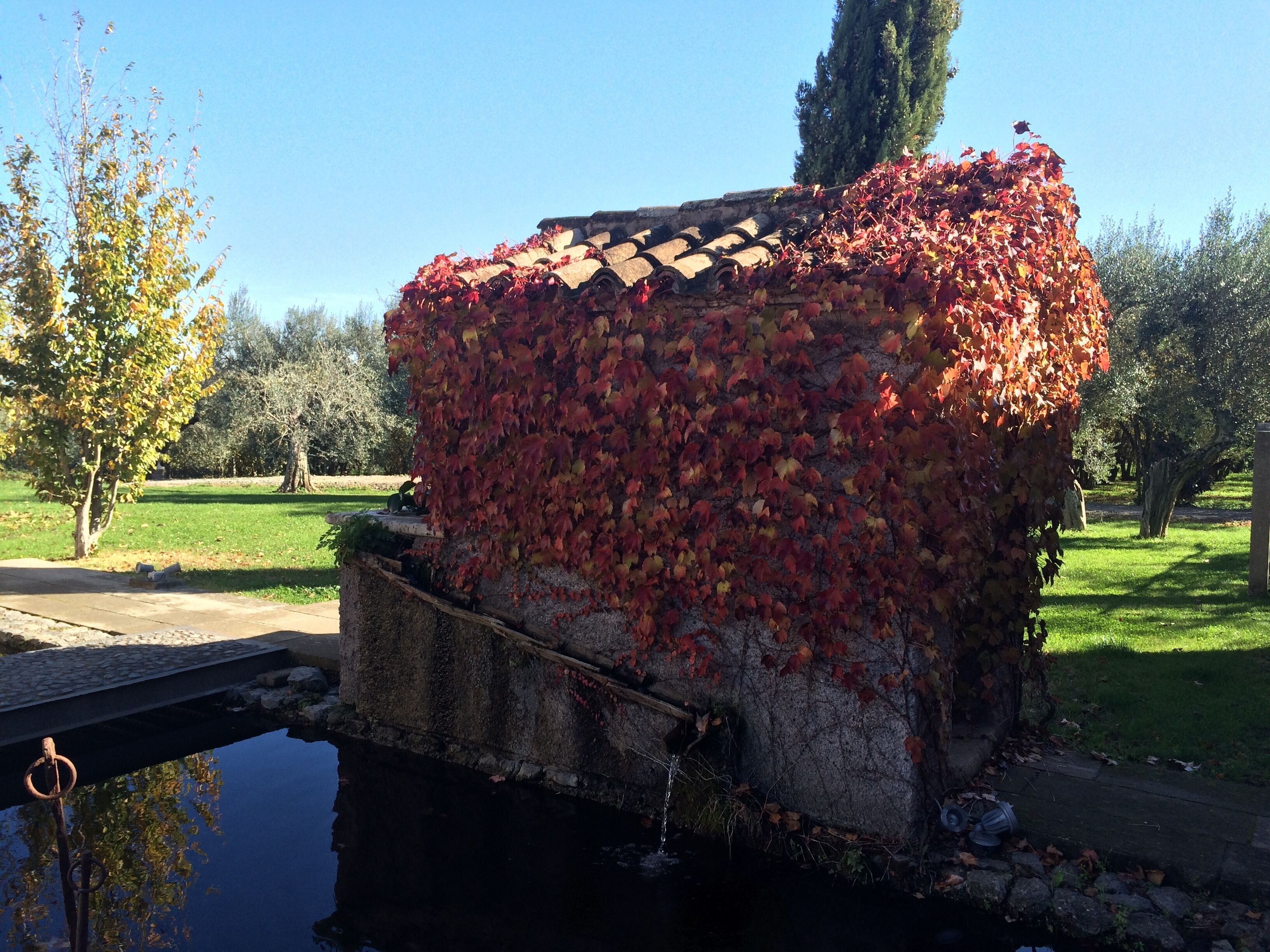 Wonderful Bed & Breakfast North of Rome "Casino de'Basti"