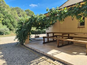 A building with a pergola covered in vines, a picnic table, and a gravel area.