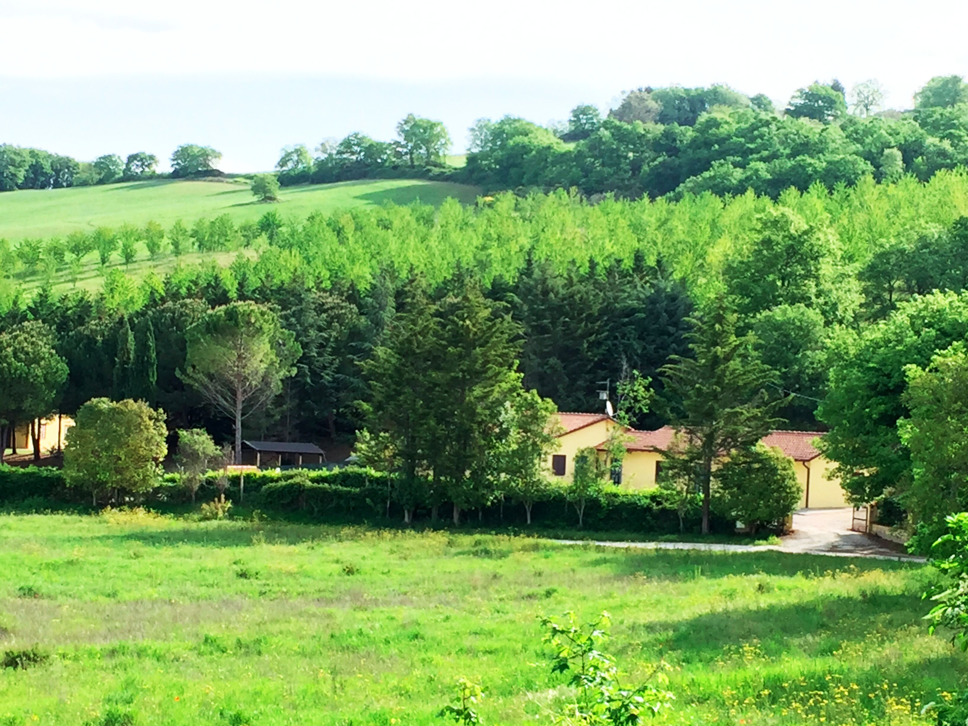 Agriturismo Under the Hill of Assisi - Apartment "La Quercia" (4)