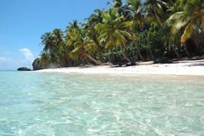 Camastros y toallas de playa 