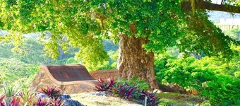 Eco Sustainable Village Self-sufficient