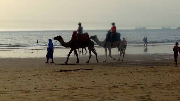 A beach scene with camels and people. - apartment 6 person 10 minutes from the beach (agadir)