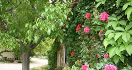 Rural house in Nerpio with 3 rooms