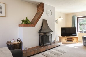 Televisión y chimenea 