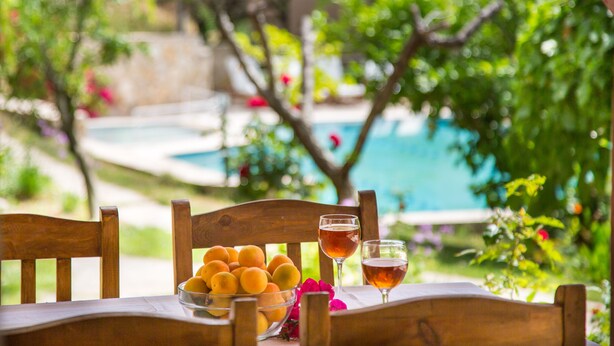 Una mesa de madera con un cuenco de limones y dos vasos de una bebida, frente a un fondo de piscina y abundante vegetación.