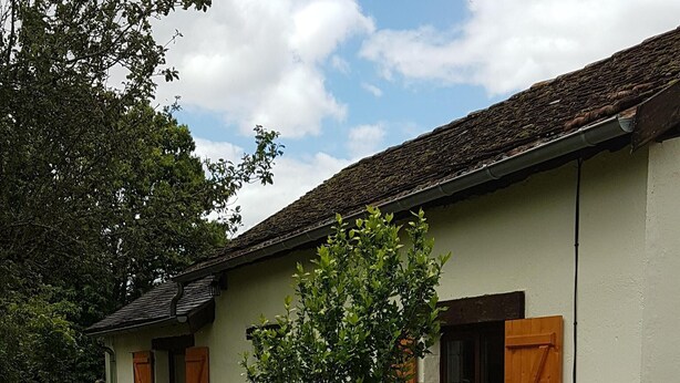 A single-story house with a tiled roof, a small garden with a tree and white flowers, and a clear sky.