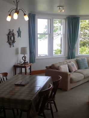 Smart TV, fireplace, books, video library