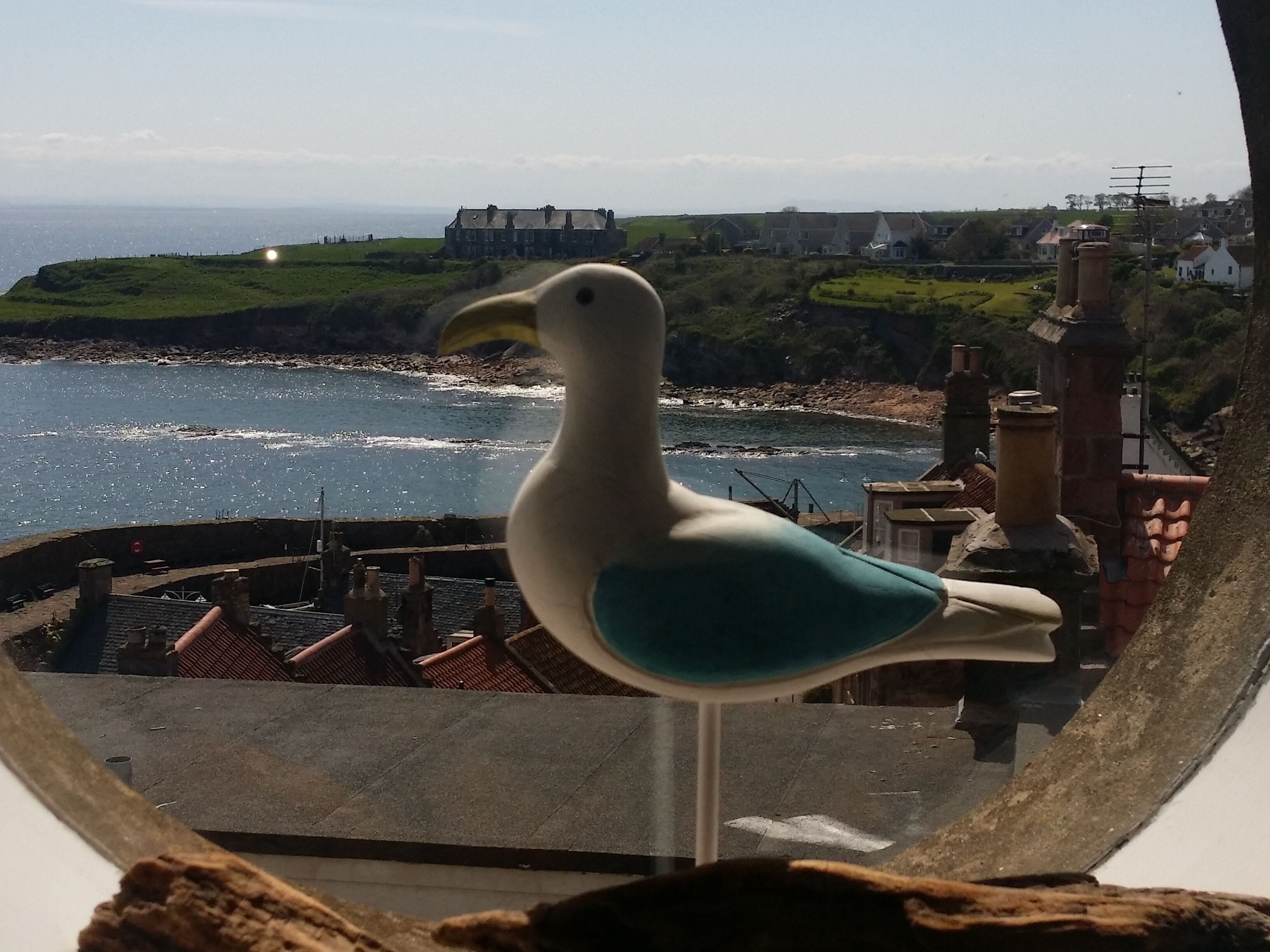 施設からの眺望