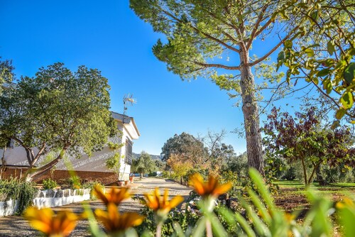 Near the Ascari circuit