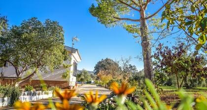 Near the Ascari circuit