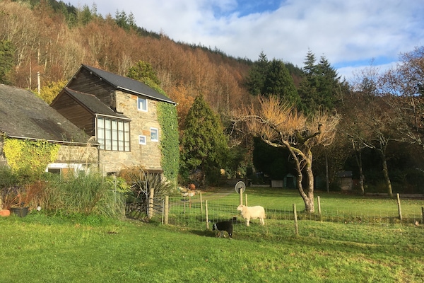 Swn y Nant looking over the garden