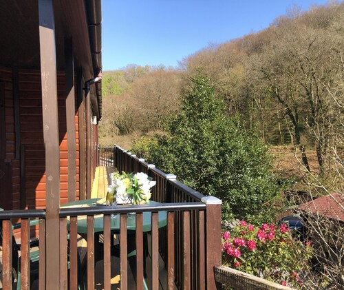 Two bedroom lodge within walking distance of Lynton Centre. Free fishing onsite