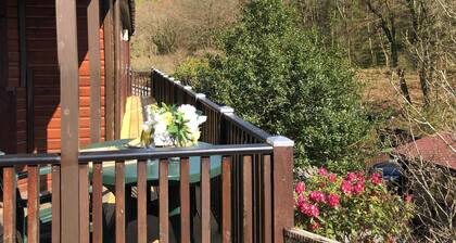 Two bedroom lodge within walking distance of Lynton Centre. Free fishing onsite