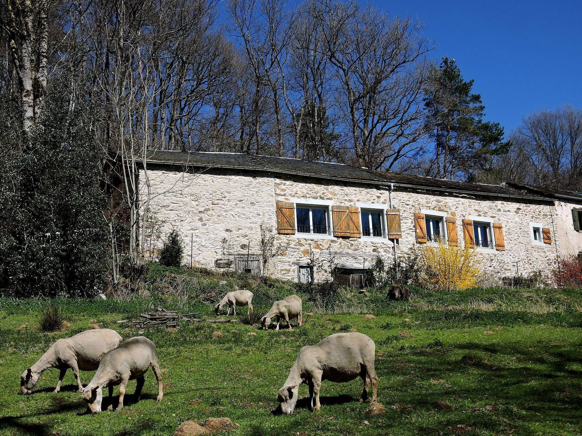 Large spacious cottage accessible to disabled