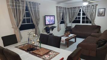 Televisio, takka, DVD-soitin, kirjoja