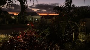 Un quartier résidentiel avec des maisons, des palmiers et un coucher de soleil.