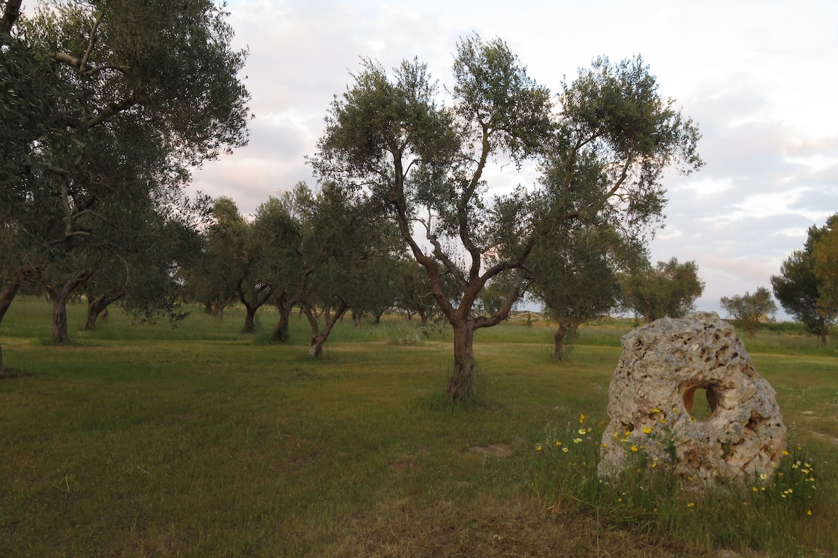 Image de profil de lâhĂŽte