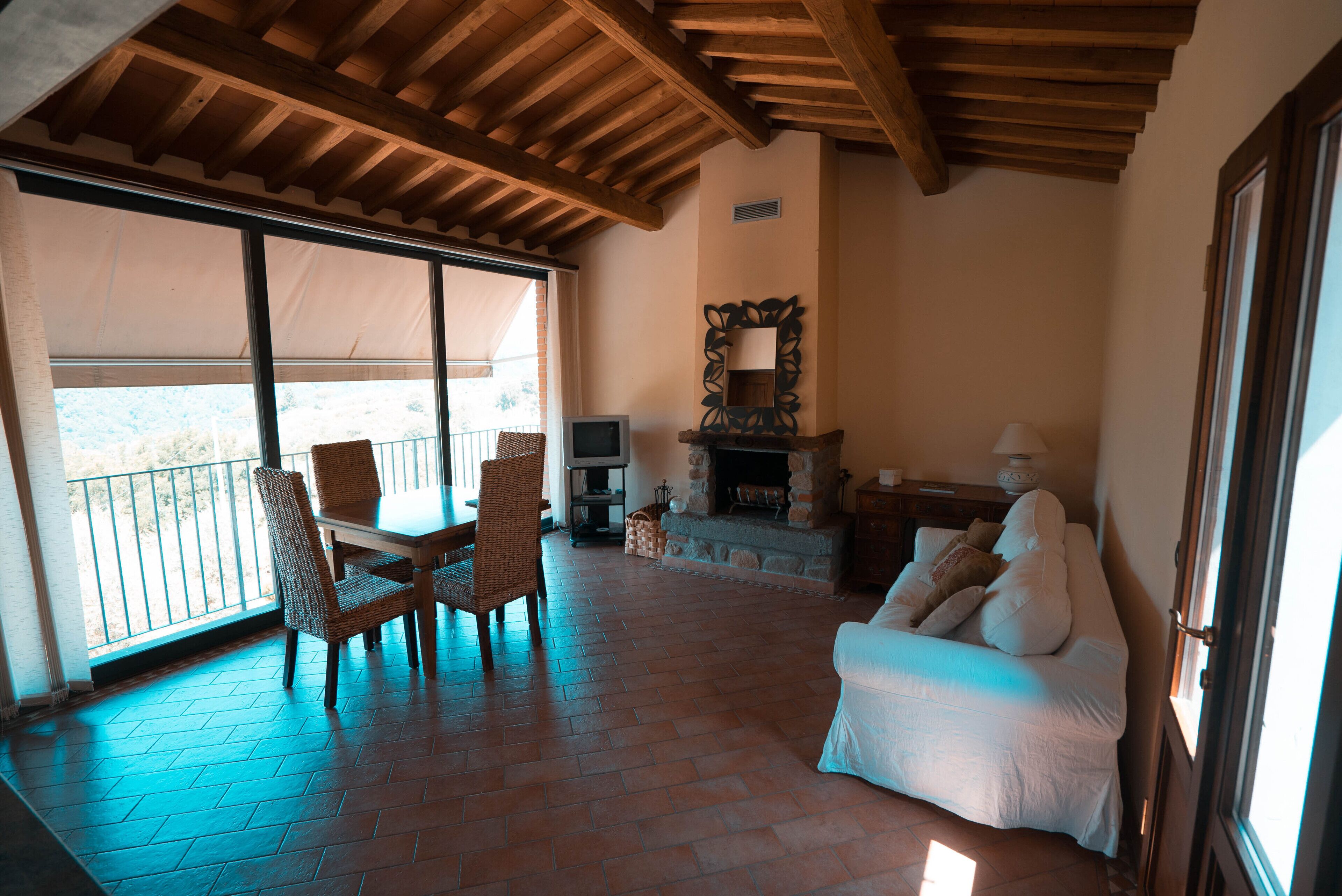 智能电视、壁炉、DVD 播放器、乒乓球